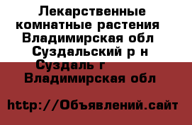 Лекарственные комнатные растения - Владимирская обл., Суздальский р-н, Суздаль г.  »    . Владимирская обл.